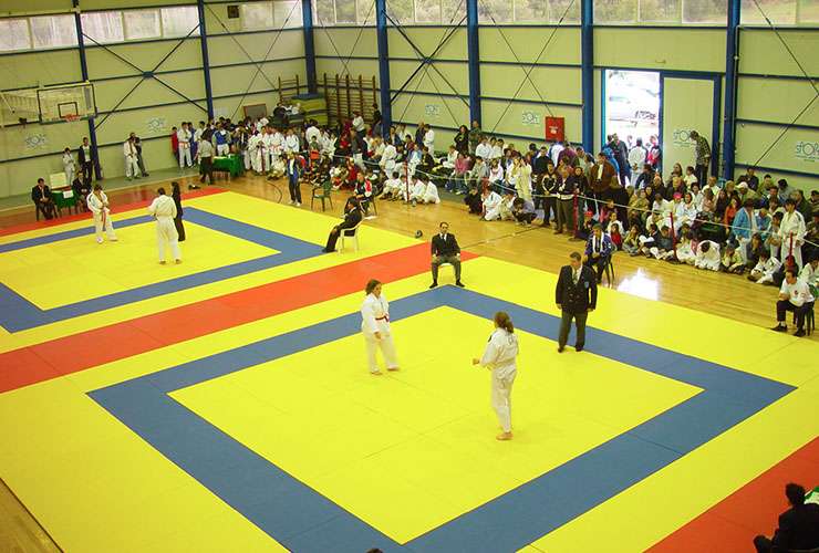 JUDO 2004