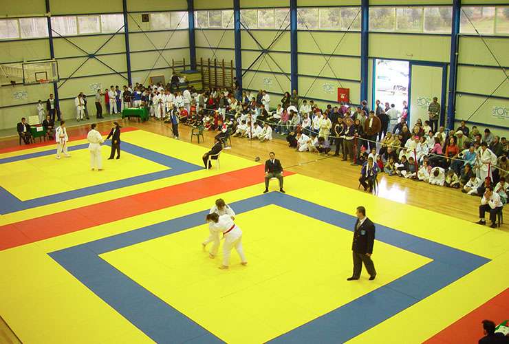 JUDO 2004