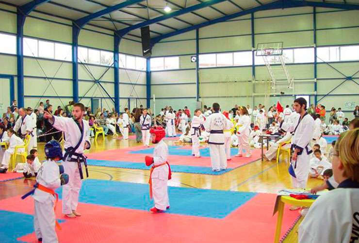 TANG SOO DO 2006