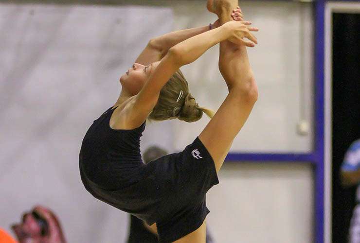ARMONIA International Rhythmic Gymnastics Training Camp 2014