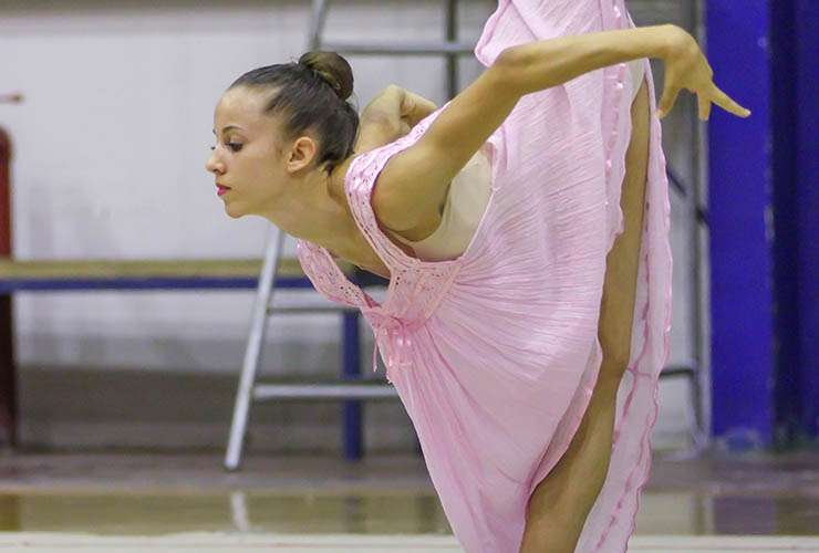 ARMONIA International Rhythmic Gymnastics Training Camp 2014